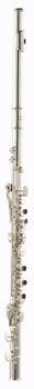 Thomann AFL-300CS altinė fleita
