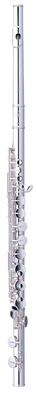 Pearl Flutes PFA 206 ES altinė fleita  