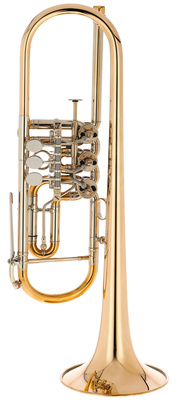 Gerd Dowids NB-Series Bb rotacinis trimitas  