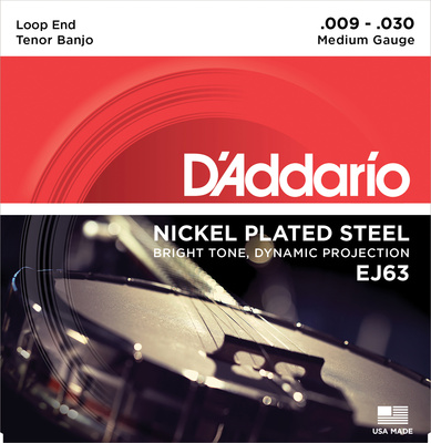 Daddario EJ63 banjo stygos
