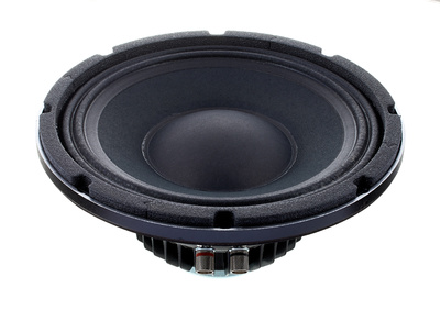 Eminence Deltalite II 2510 garso kolonėlės komponentas 10"