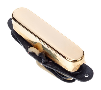 DiMarzio DP172 Gold Twang King single coil garso nuėmėjas