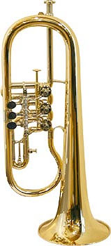Gerd Dowids BZ-Series Bb-Flugelhorn G88 GP flugelhornas