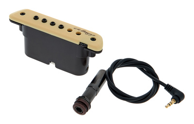 L.R.Baggs M1 Activ magnetinis garso nuėmėjas akustinėms gitaroms