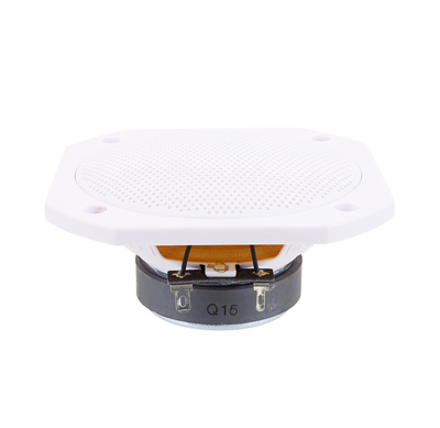 Visaton FRS 10 WP-8 White pilno diapazono garsiakalbis