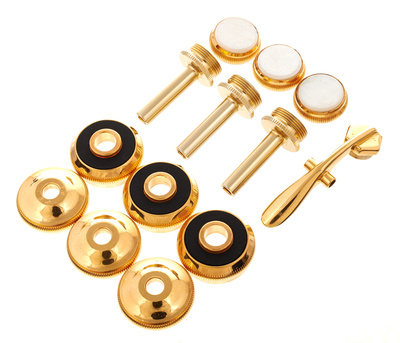 Bach Gold Trim Kit varinių instrumentų priedas