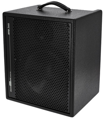 AER Amp Two bosinės gitaros tranzistorinis kombo