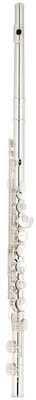 Altus AS-917 SE altinė fleita