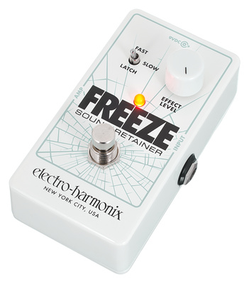 Electro Harmonix Freeze Sound Retainer gitaros efektas