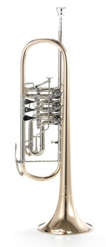 B&S 3005 WTR-L trimitas