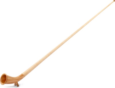Alfons Neumann Alphorn Meisterklasse Alpių ragas