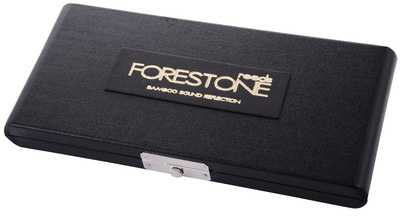 Forestone Reed Case Alt/Clar/Sopr 10 liežuvėlių dėklas