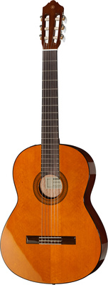 Yamaha CGX 102