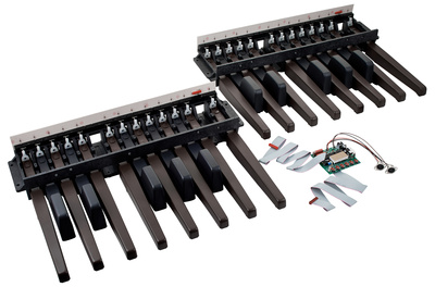 Doepfer MBP25 Electronic su 2 Pedalais sintezatoriaus priedas