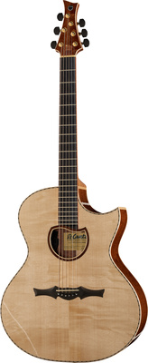 Įvairios akustinės gitaros