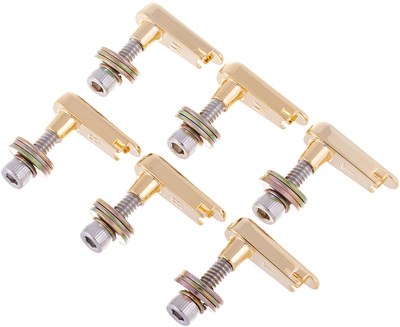 Power Pins Bridge Pin Set V2 GD akustinės gitaros kaiščių rinkinys