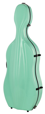 JW-eastman CE133 4/4 Cello Case PPG