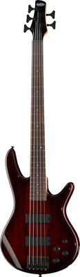 Ibanez GSR205SM-CNB 5-stygė bosinė elektrinė gitara