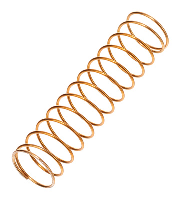 Yamaha Valve Spring flugelhornas