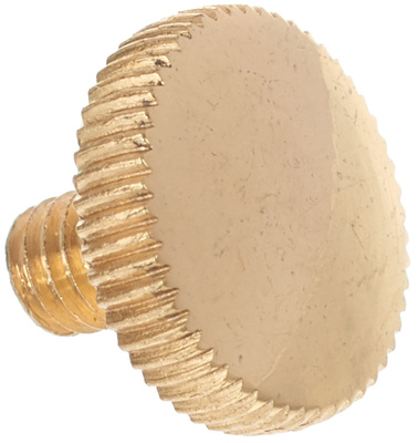 Yamaha Lyre Holder Screw L lūpinė varžtelė