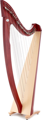 Salvi SALTIT-MSS Titan Mahogany arfа