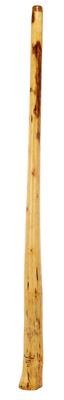 Thomann Didgeridoo Eucalyp. Proline D didžeridu