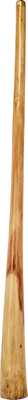 Thomann Didgeridoo Eucaly. Proline C# didžeridu