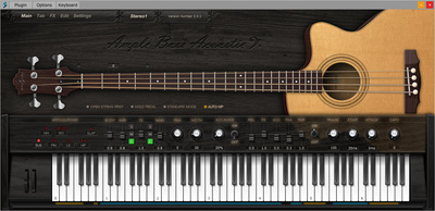 Ample Sound Ample Bass Acoustic III virtualus instrumentas