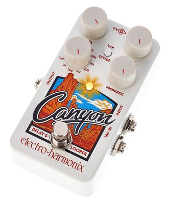 Electro Harmonix Canyon Delay & Looper uždelsimo/aido pedalas