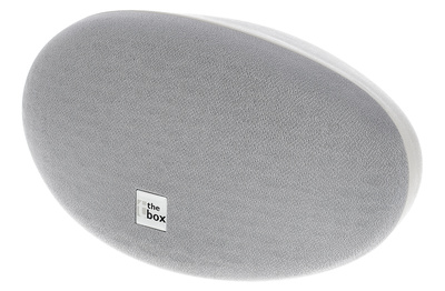 the box Oval 4 White įmontuojamas sienų garsiakalbis