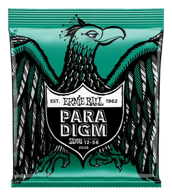 Ernie Ball Paradigm Not Even Slinky 12-56 elektrinės gitaros stygos  