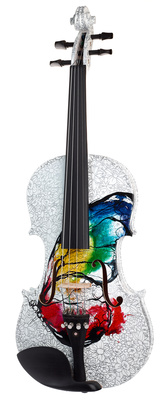 Thomann Rainbow Violin Set 4/4 akustinis smuikas  