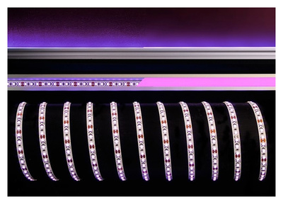 LED Flex Stripe Pink 5m 12V