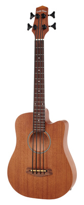 Gold Tone Micro Bass 23 akustinė bosinė gitara su dėklu