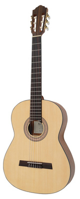 Höfner HF-13