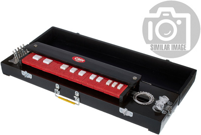 Thomann Nataraj Bulbul Tarang Small indiškas instrumentas