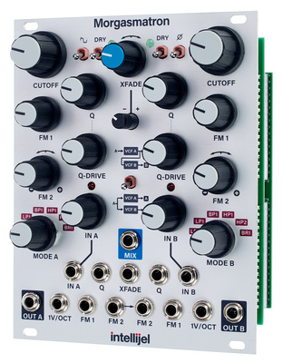 Intellijel Designs Morgasmatron filtrų modulis