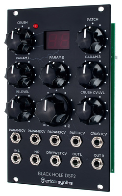 Erica Synths Black Hole DSP 2 efektų modulis
