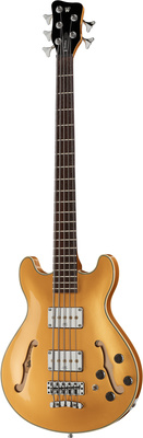 Warwick RB Star Bass 5 MGHP 5-stygė bosinė gitara