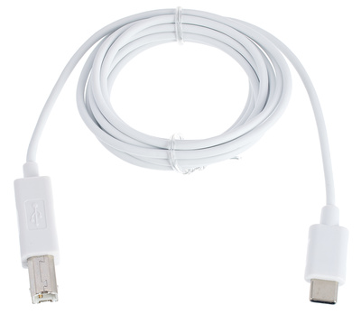 pro snake USB 2.0 Typ C/B 2m usb laidas