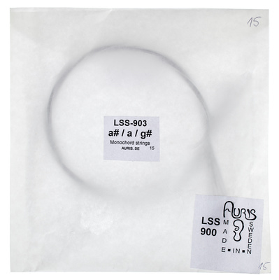 Auris Lyre Monochord stygų komplektas G#  