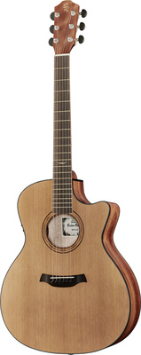 AR31C/ACE