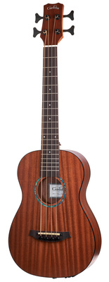 Keturstygės akustinės bosinės gitaros