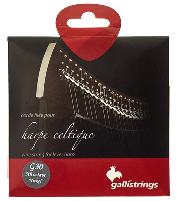Galli Strings Lever Harp Bass Wire G30 arfos stygos