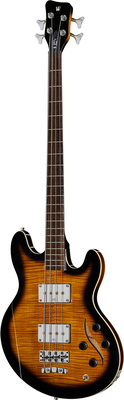 Warwick Artist Line SklarBass  B-Stock