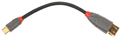 Lindy USB 3.1 Typ C Adapterkabel USB laidas  