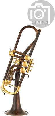 Schagerl Ganschhorn heavy Bb-Trumpet SV
