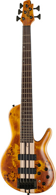 Cort A5 Plus SC Amber Open B-Stock 5-stygė bosinė gitara