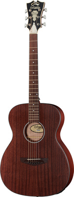 DAngelico Premier Tammany LS akustinė gitara