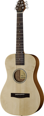 Journey Instruments PJ410N liaudiška akustinė gitara